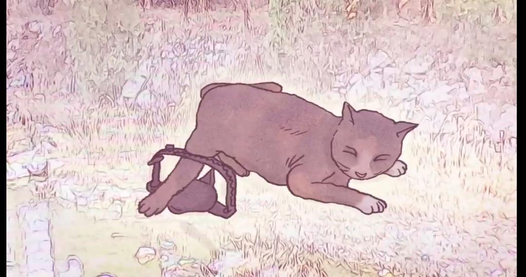 猫咪被老鼠夹住脚后肿了,猫咪被老鼠夹住前爪怎么办