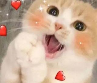 天猫店群如何运营,无货源天猫店群的真实玩法