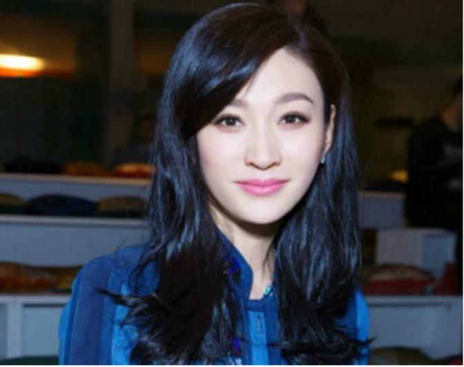 梅婷和李小冉近况,李小冉插足梅婷婚姻