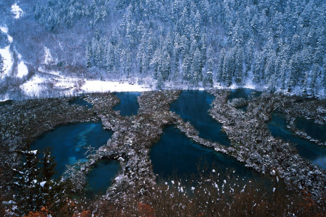 2019九寨沟散客如何进景区,最新九寨沟景区门票免费政策