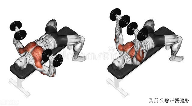 哑铃卧推初学者正确的动作,哑铃卧推初学者训练方法