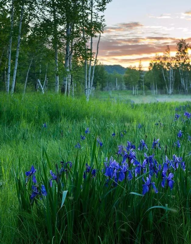 离俄罗斯只有一江之远,离黑龙江很近的俄罗斯城市