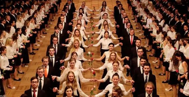 奥地利移民教育新政策,奥地利移民教育机构