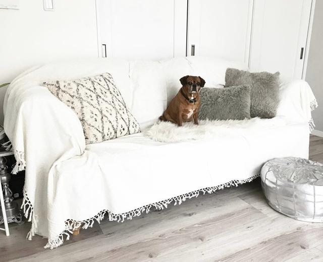 冬天真皮沙发太凉怎么办,冬天沙发冰凉怎么办