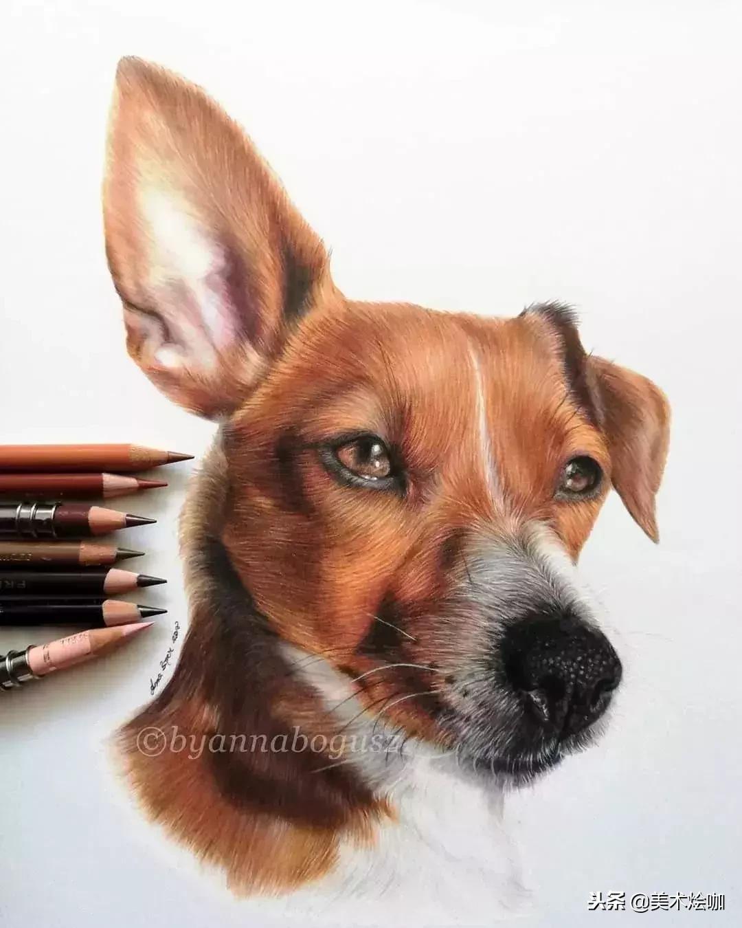 彩铅画教程超写实零基础入门,超写实彩铅画高清大图水果组合