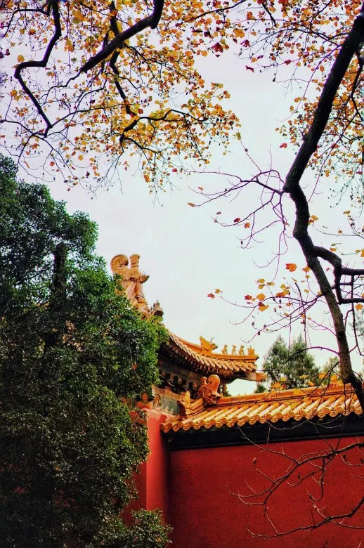 2020旅行时间表,2021年旅行时刻表出炉