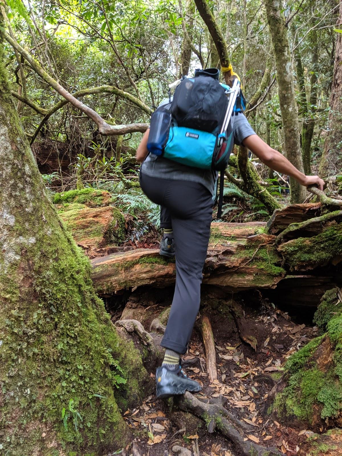 lasportiva登山鞋,lasportiva和scarpa徒步鞋哪个好