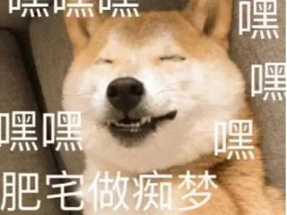 又到发情高峰期，主人忽视这些护理，小心疾病找上狗狗