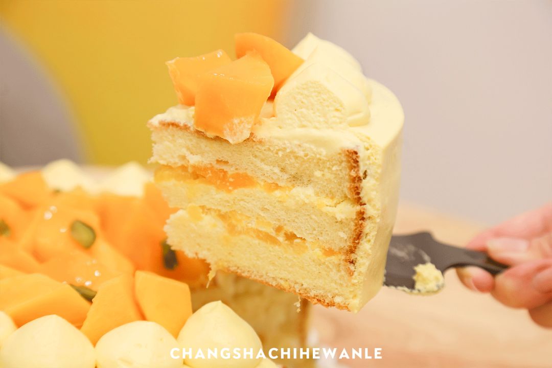 人均不到10元！买蛋糕送“熊猫”！火遍全国的网红蛋糕来啦