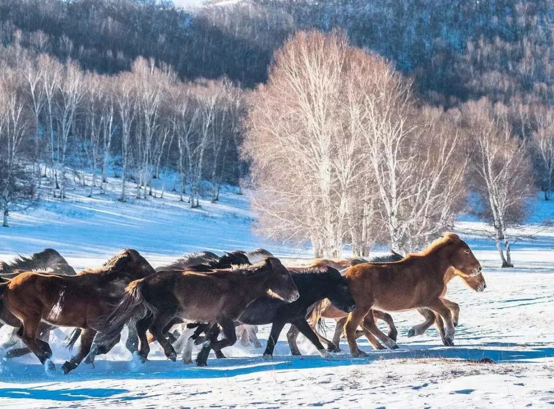 坝上风情坝上人,坝上哪最适合露营
