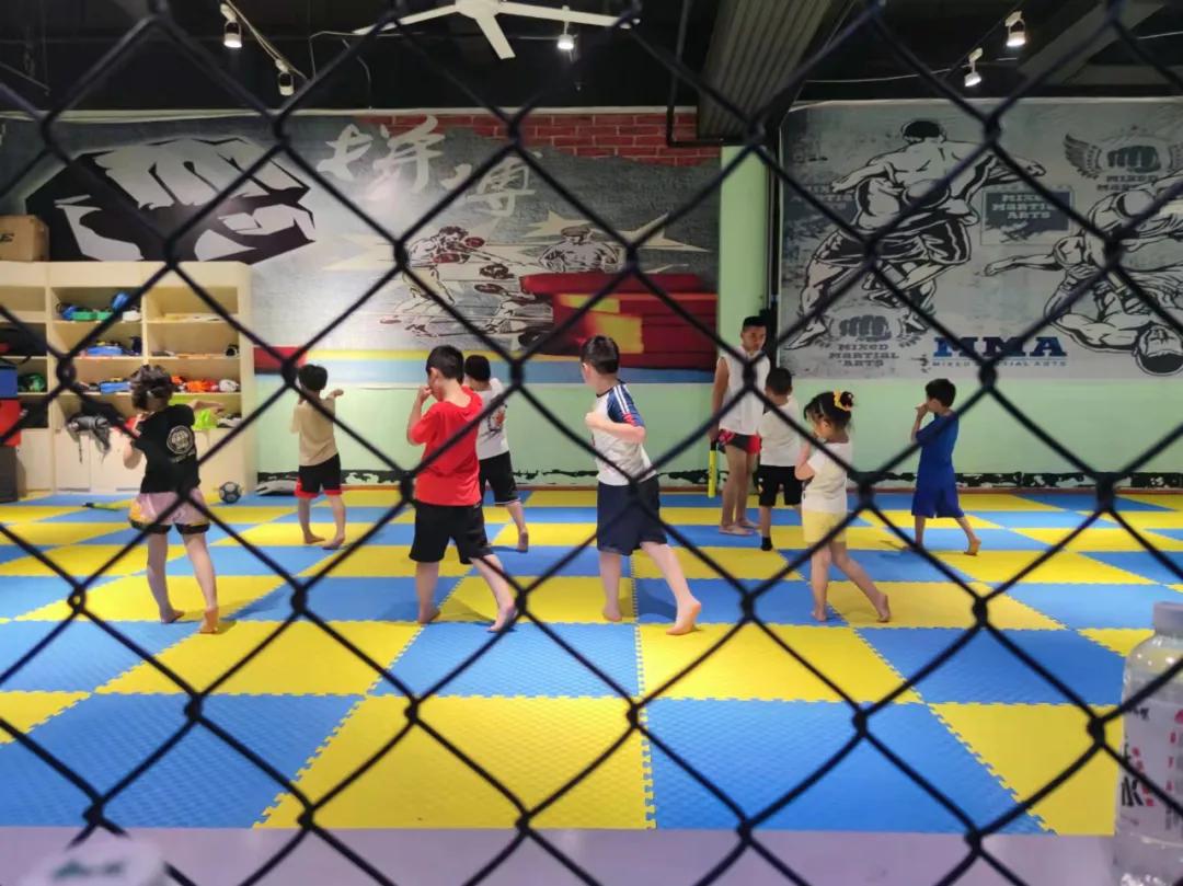 散打搏击跆拳道截拳道有什么区别,搏击散打跆拳道哪个适合6岁小孩