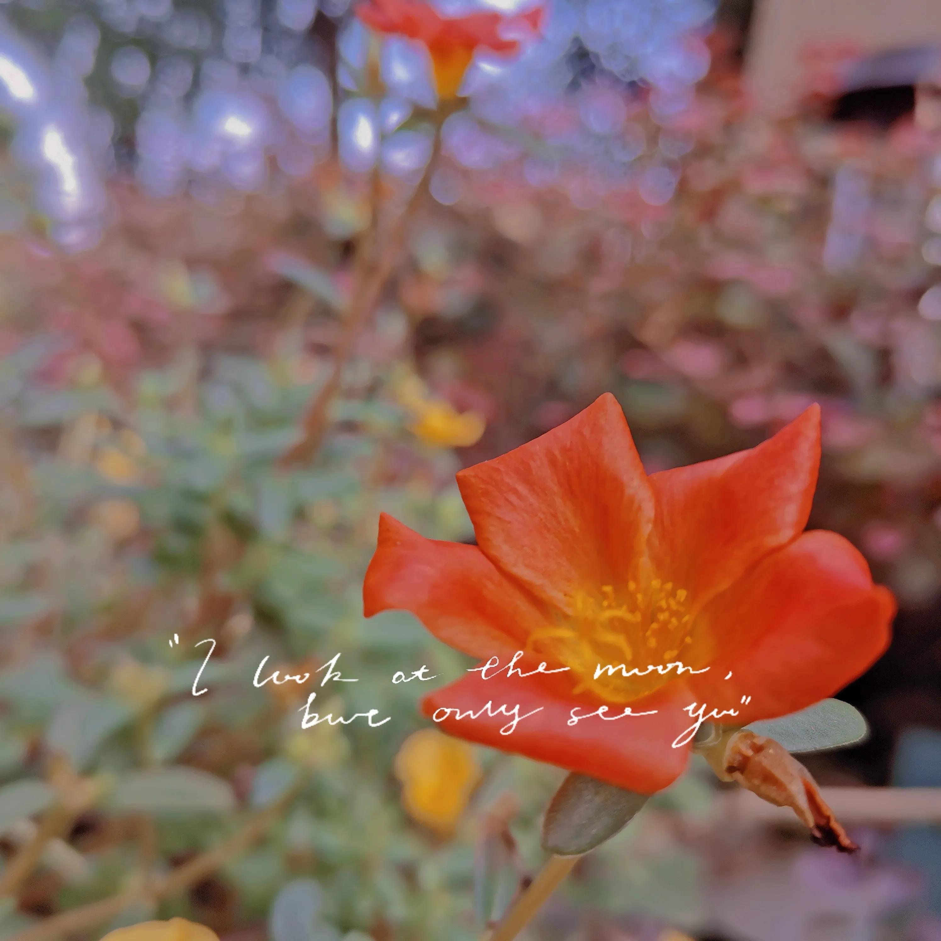 虚荣心是人生最可怕的东西,虚荣心有时候真是一种很好的动力