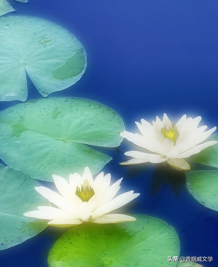 图片大小用手机如何调整,手机拍摄图片大小压缩