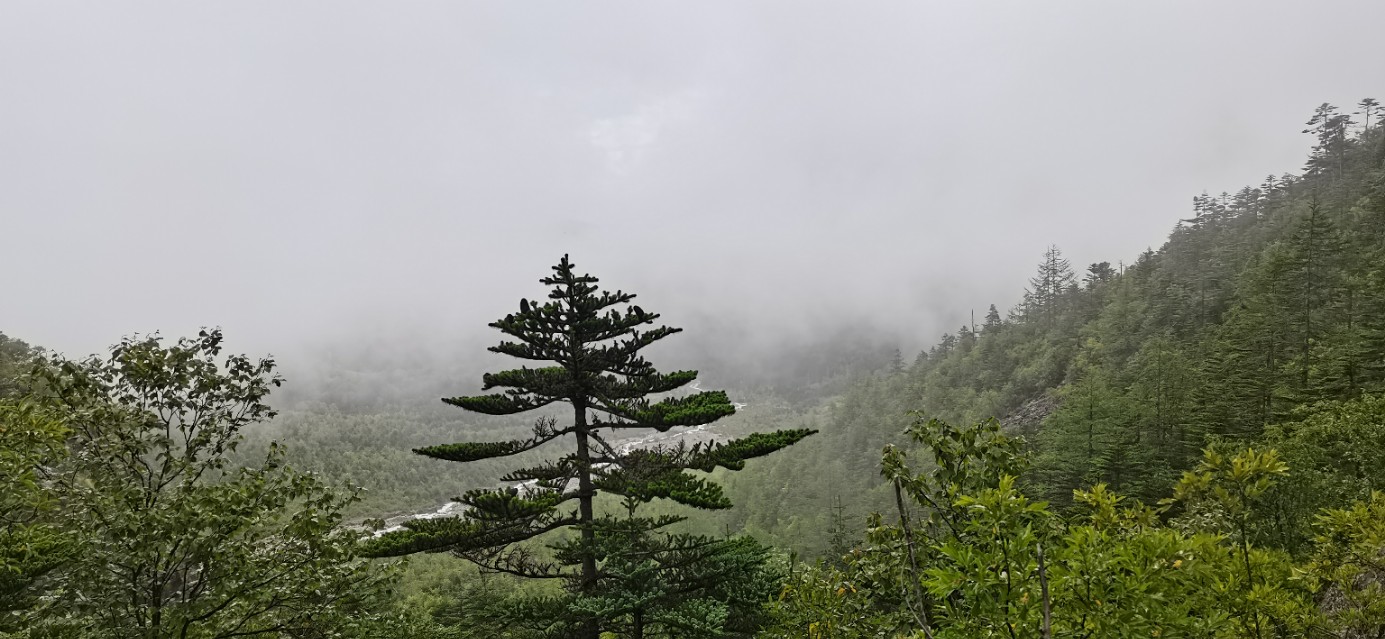 一生必去一次雨崩,雨崩一生必来一次吗
