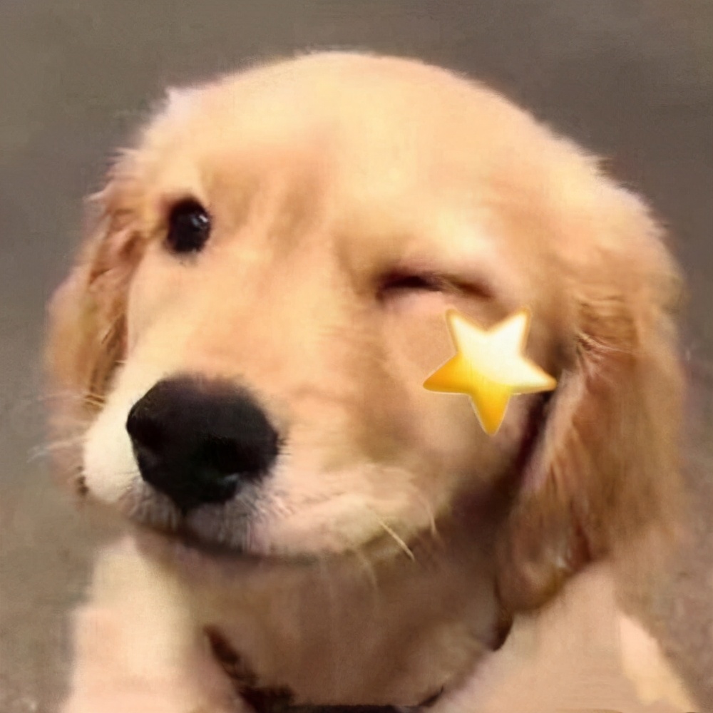 什么叫做水洗标,有趣的水洗标带来什么好处