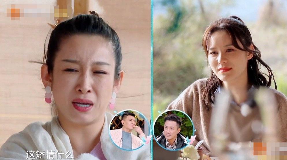 杨澜徒弟、央视主持,却引胡歌酒后失言,还跟柴静老公传过绯闻?