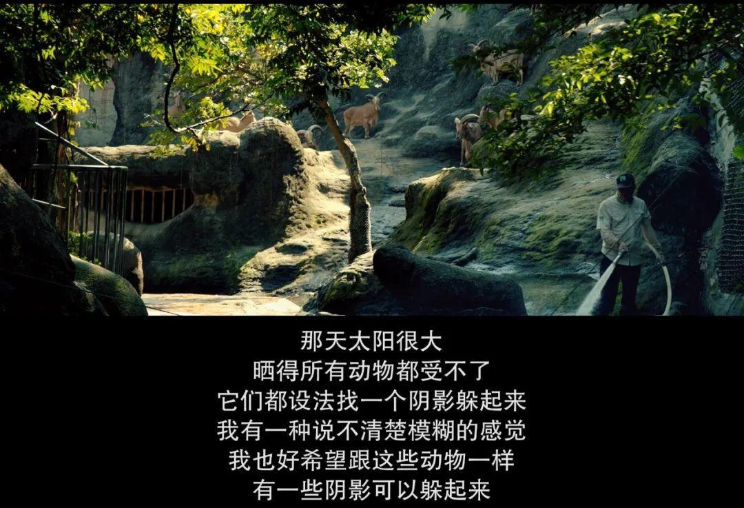 被骂渣男怎么办高情商回复,人设崩塌的渣男