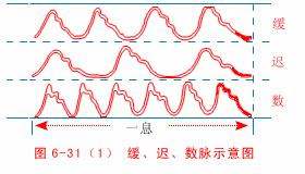 中医把脉入门必背口诀翻译,把脉入门必背口诀粤语版
