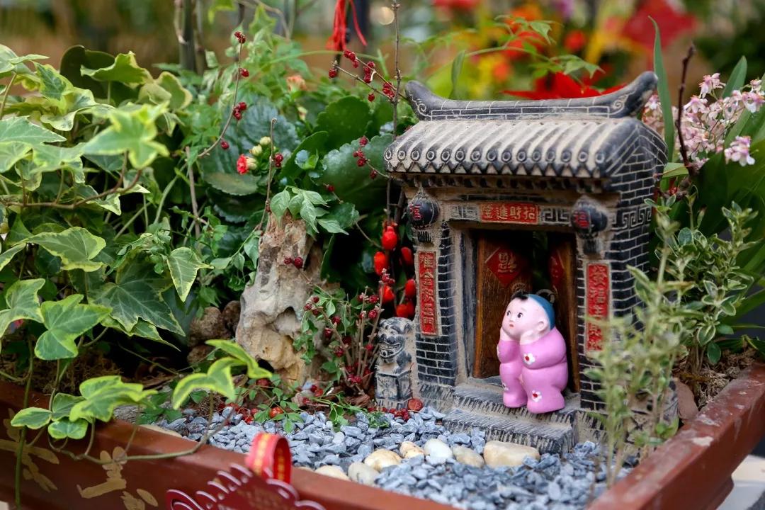 北京年宵花花卉嘉年华,北京迎春年宵花展已开幕