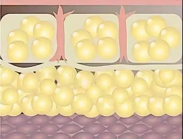 普通肥皂是怎么样的,史上最简单的肥皂