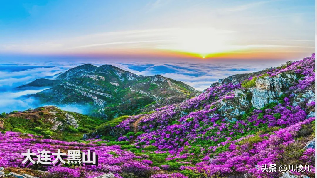 大连人社官网,大连是一个怎么样的城市