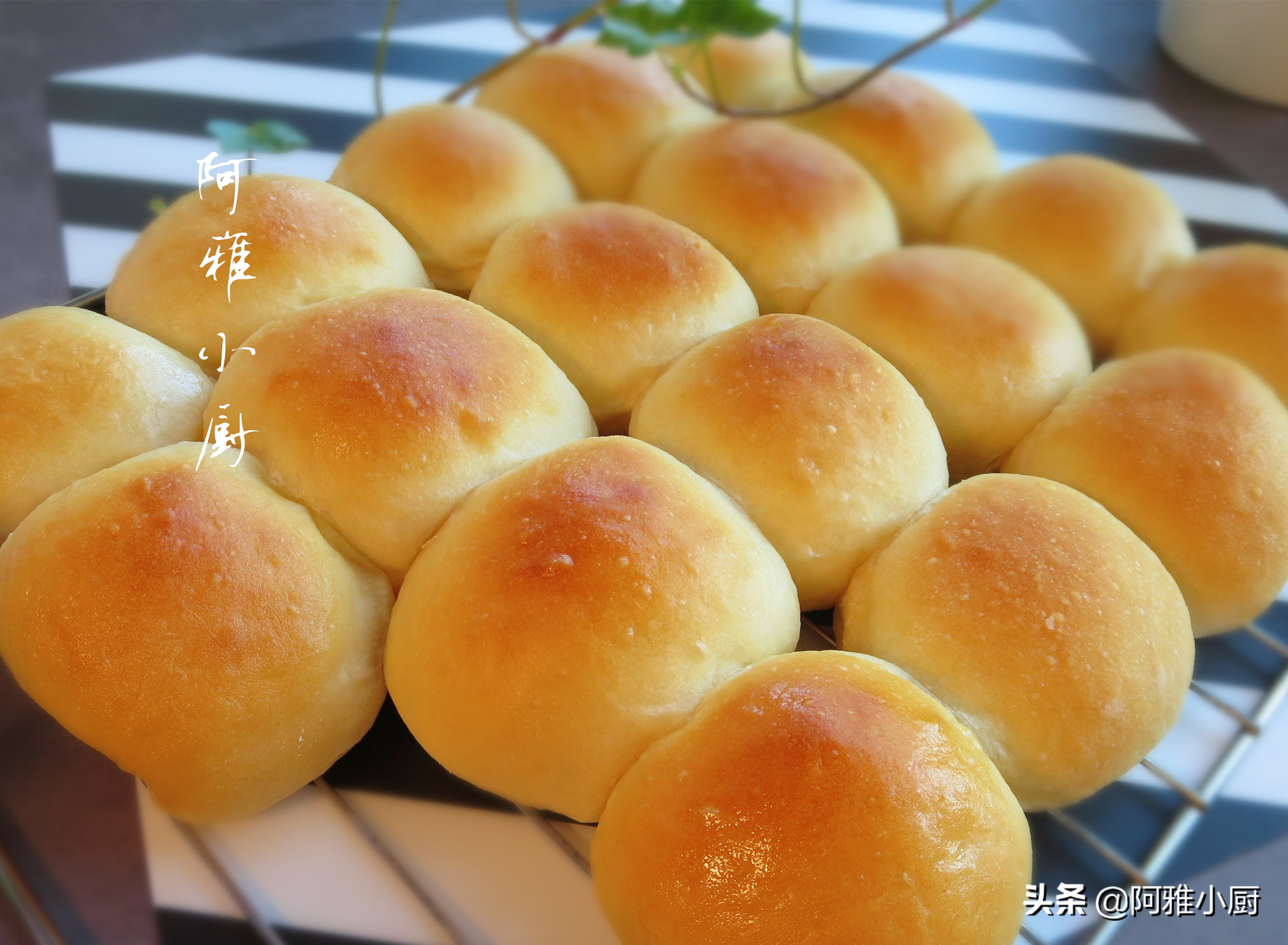 蜂蜜小面包的家常做法好吃,蜂蜜小面包怎么做松软好吃