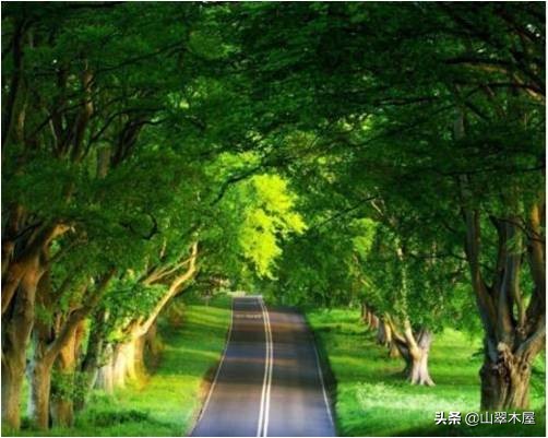 高二会考英语词汇表,高中必修二英语书面表达