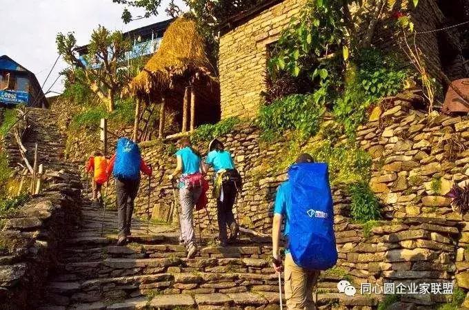 同心圆企业家联盟视频,企业家联盟2019