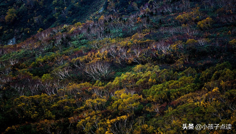 表达感悟的诗句古诗,感悟人生的诗句古诗
