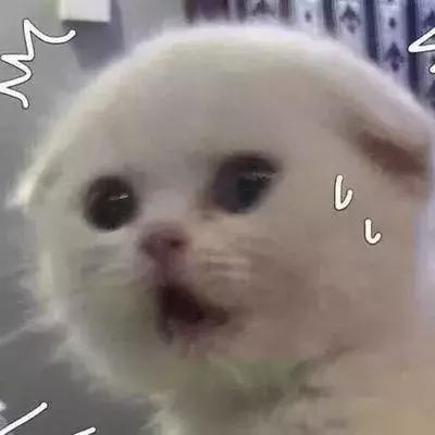 护肤成分哪些不能一起用,护肤品牌死对头