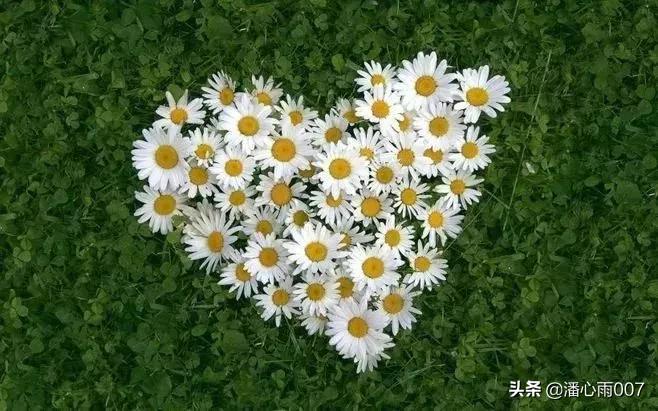 双色球127期讲解,2022127期双色球精选6+1一注