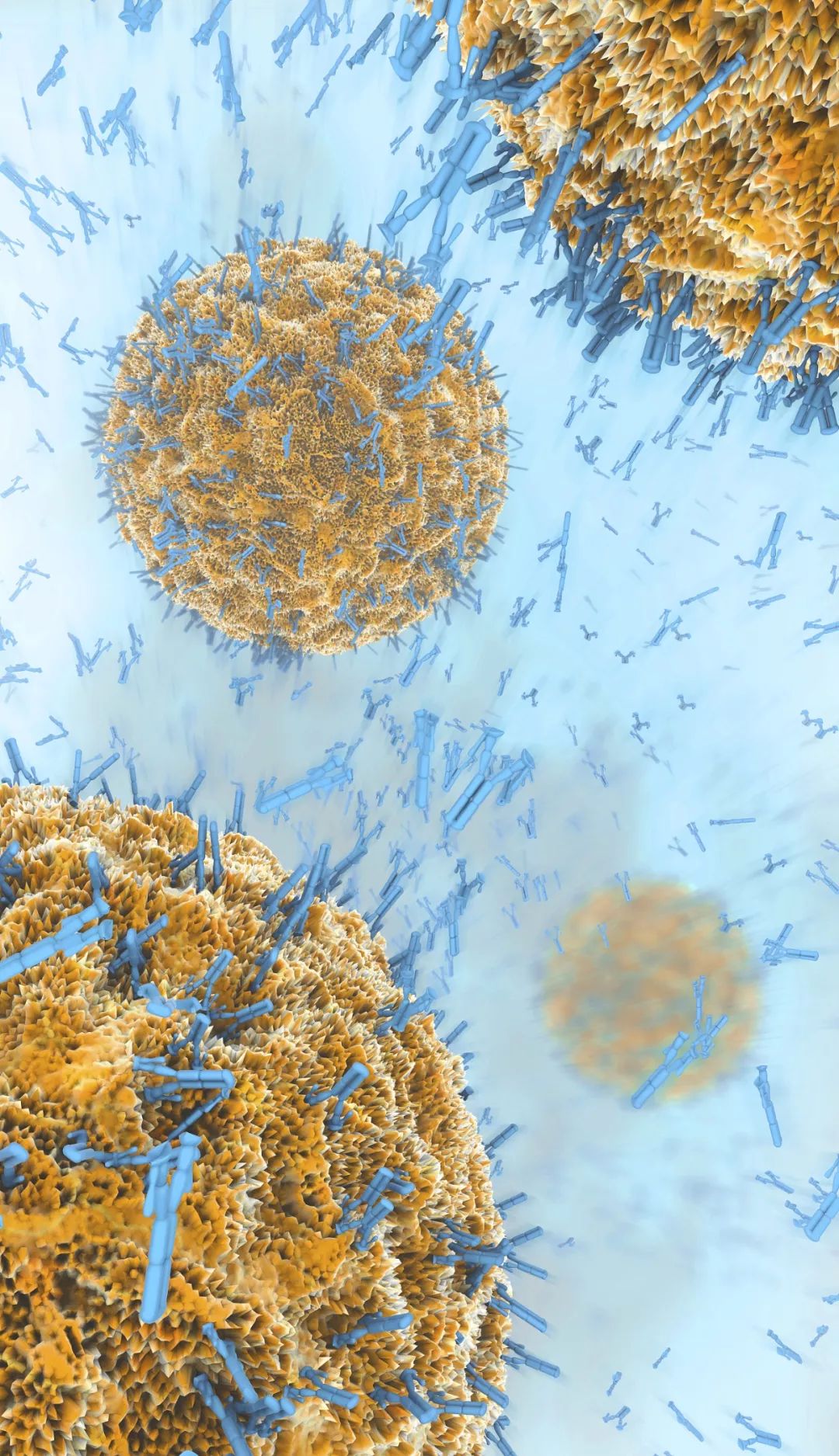 医生和病毒作战,我们如何对付病毒