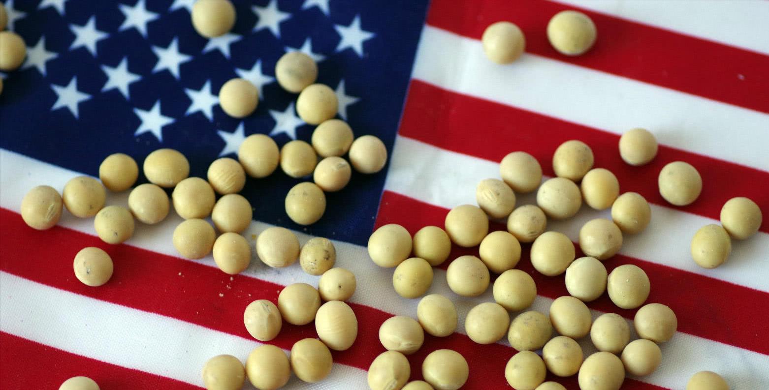 美豆海运费,美豆到中国一吨运费