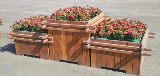 如何为你的植物选择合适的花盆,怎么选择合适的花盆口径