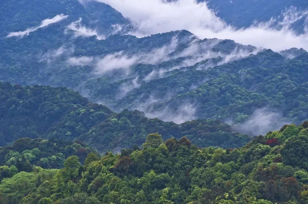 九九重阳望故乡,南昆山秋色