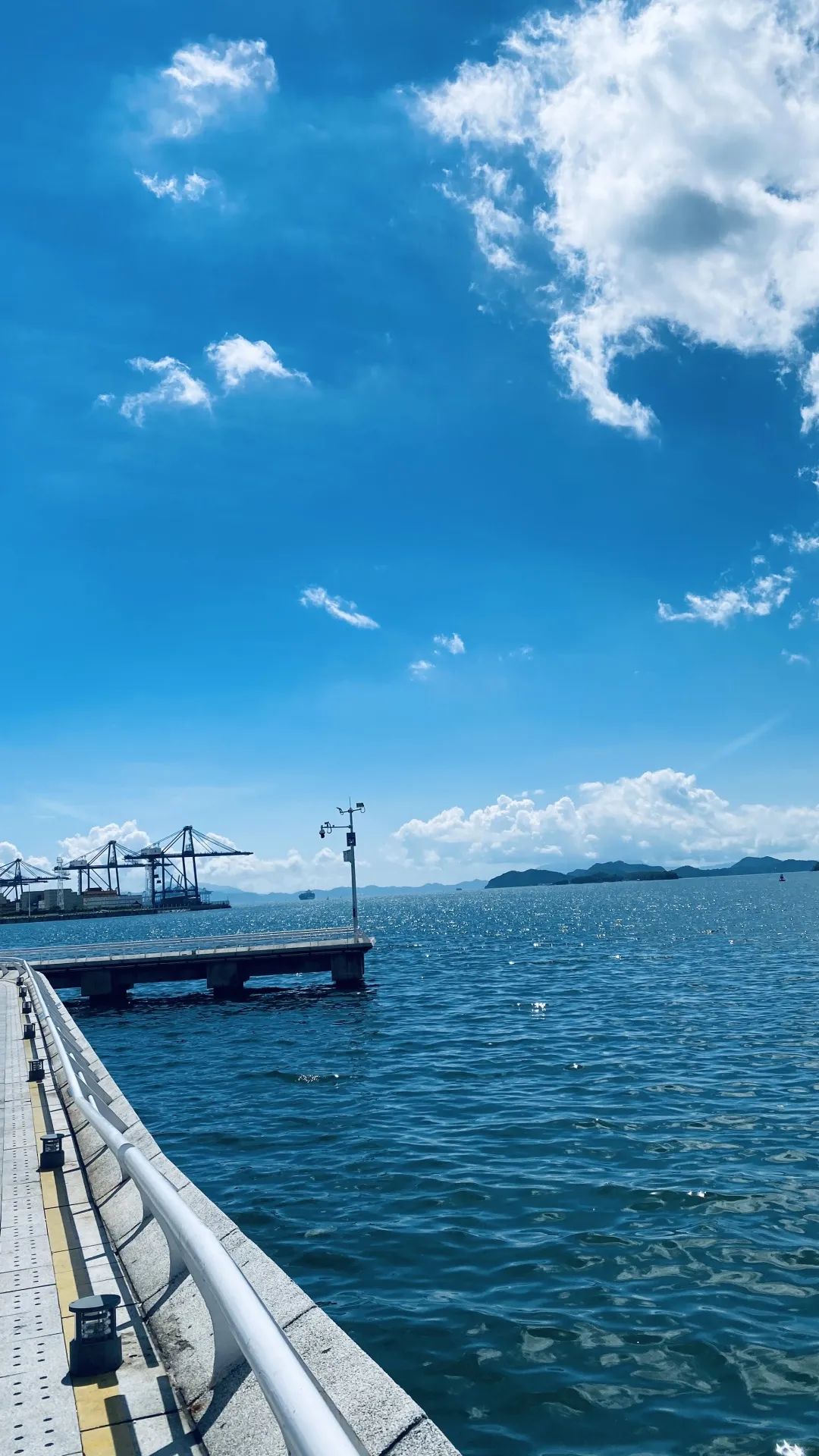 深圳新添大型高颜值公园,深圳最近新开放的公园