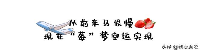 比车厘子还好的水果,比车厘子小的水果