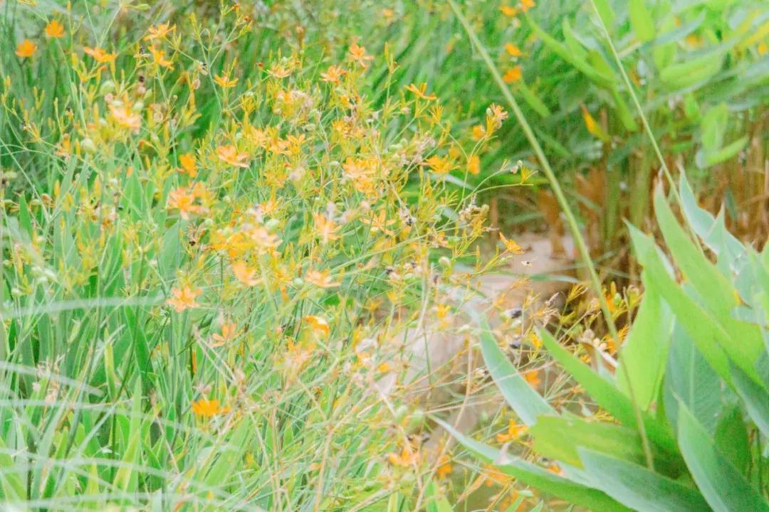 深圳游乐园排名前十名,深圳室内游乐园