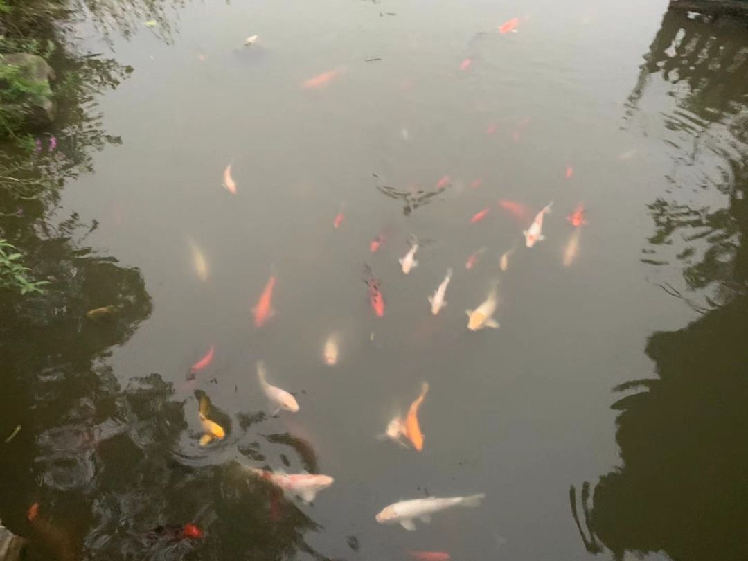 南京六大亿元顶级豪宅,南京千万以上豪宅真实成交量