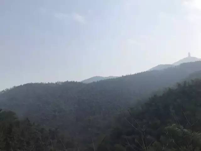 湖南益阳被救女孩,湖南益阳女子被救助