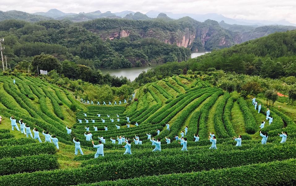 中国绿都最氧三明,中国最氧三明花海