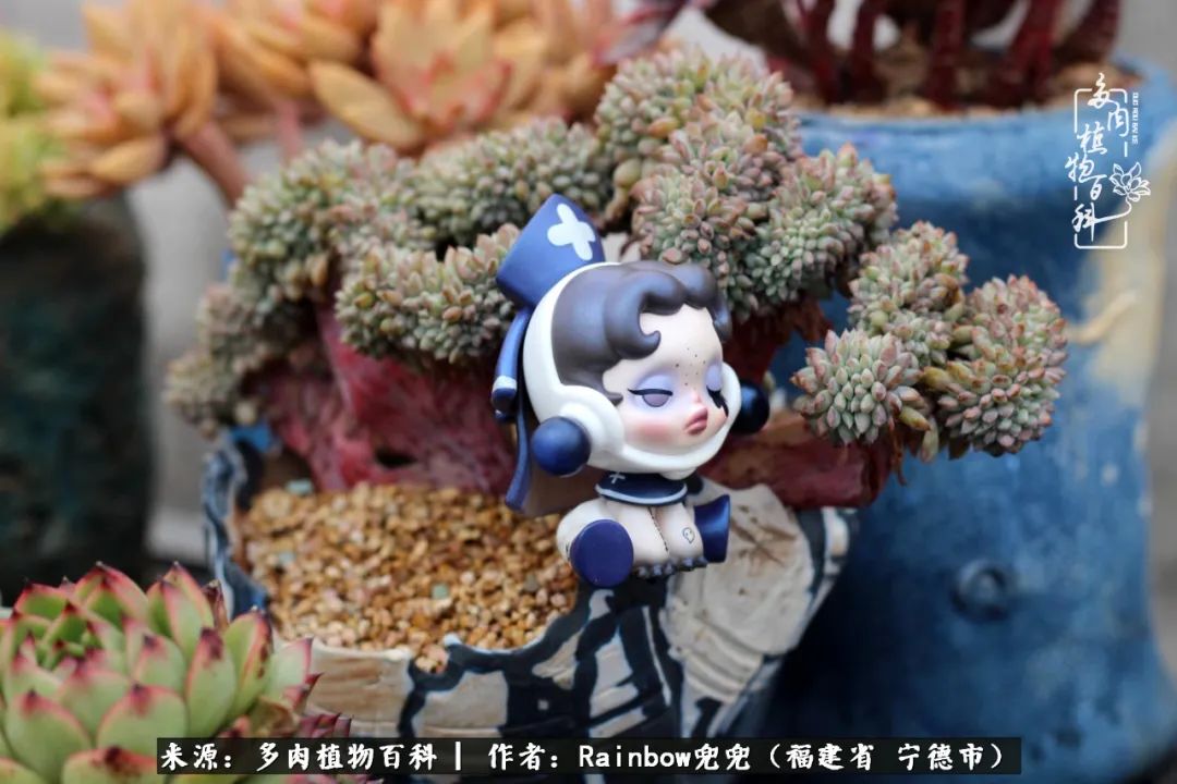 岁月无波澜余生不悲欢是啥意思,愿你岁月无波澜敬我余生无悲欢