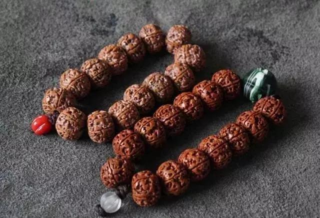 打磨藏式金刚教程,无齿藏式金刚菩提怎么盘