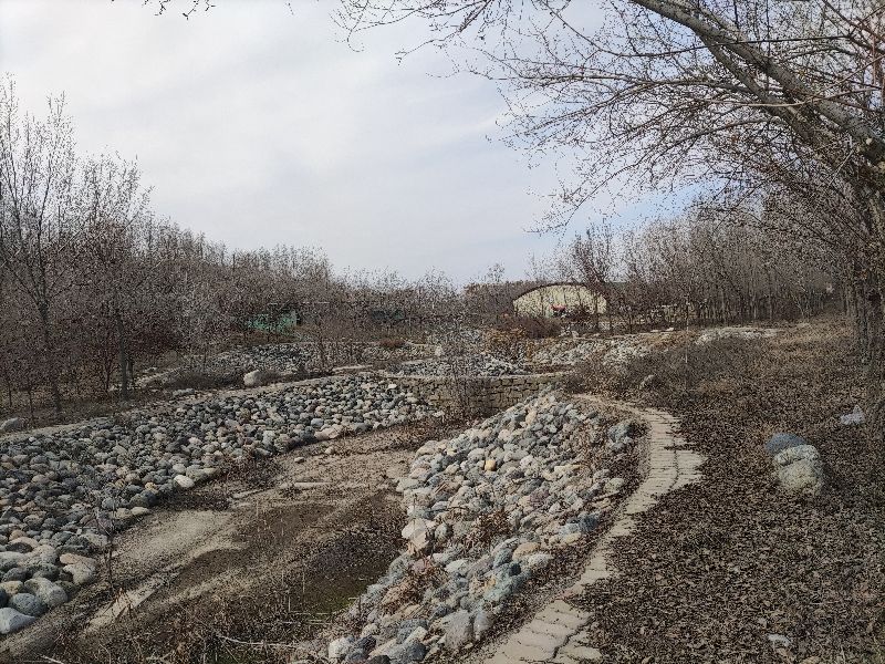 乌鲁木齐免费玩的地方运动场地,乌鲁木齐游玩适合烧烤的地方