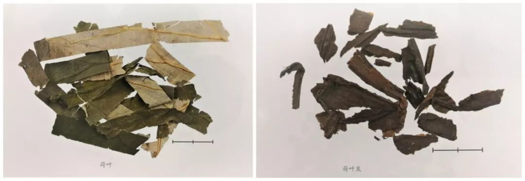 新版人民币金线错位有收藏价值吗,人民币里竟然还藏着这些小秘密