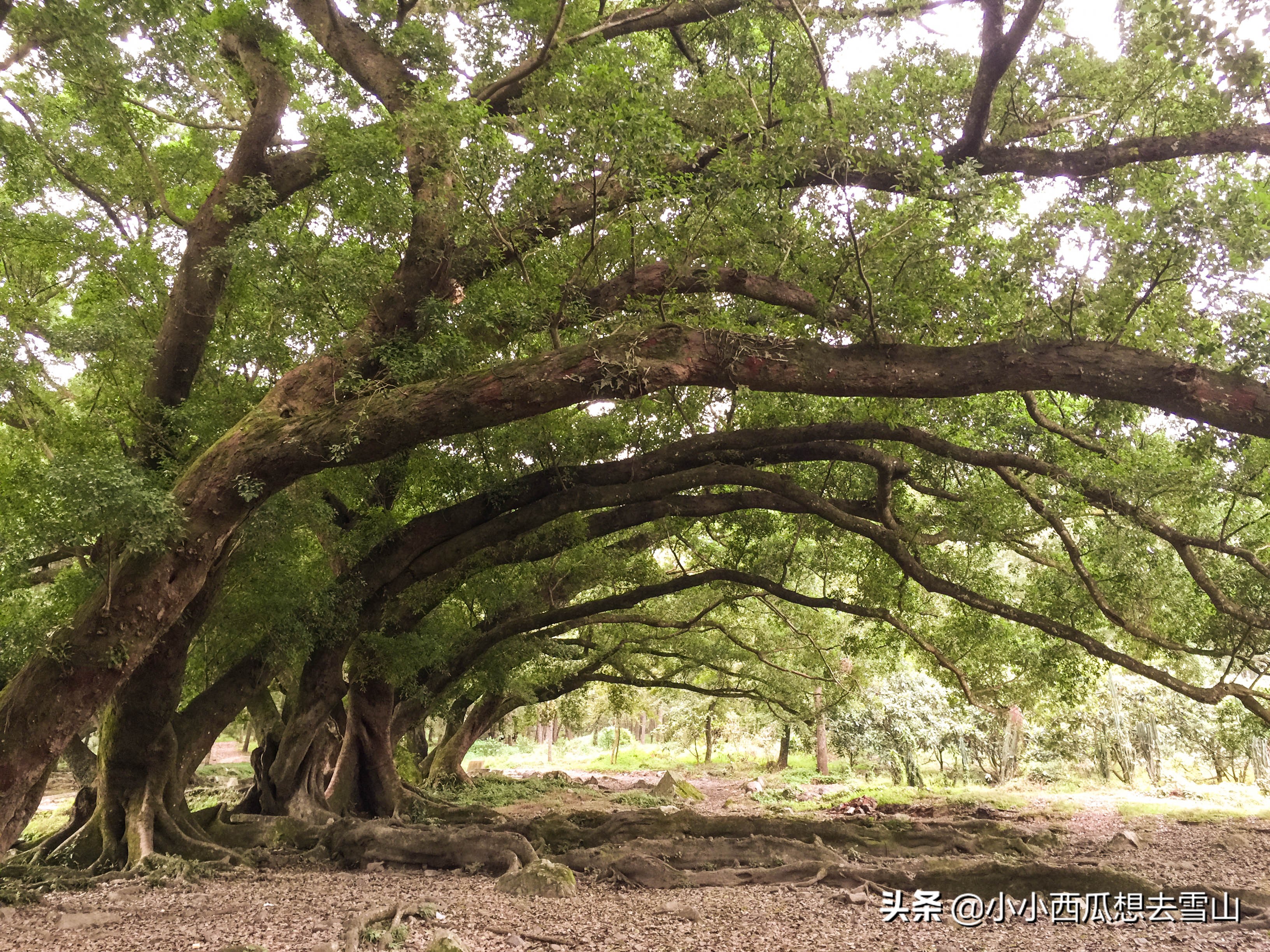 去霞浦用什么镜头好,去霞浦摄影该带的设备