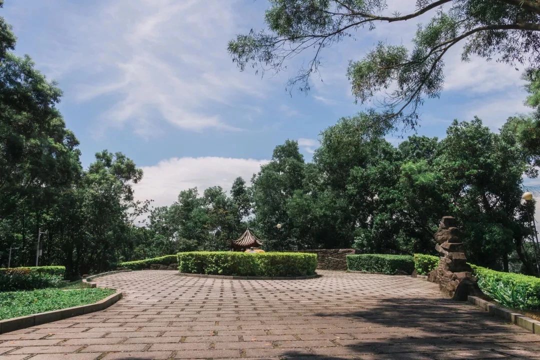 深圳看海去哪里比较好,深圳出地铁就看海的地方是哪里