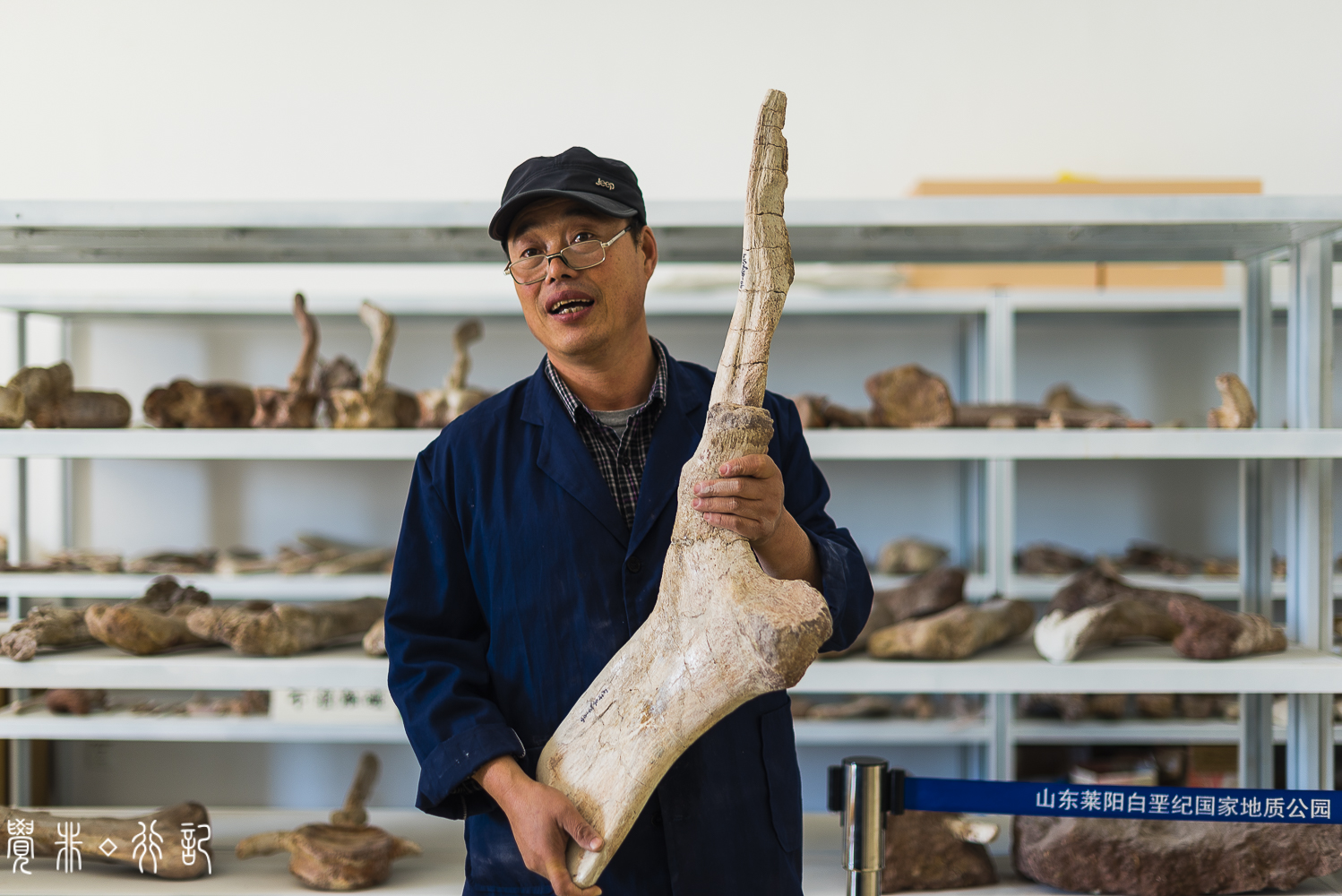 莱阳白垩纪国家森林公园,莱阳白垩纪公园