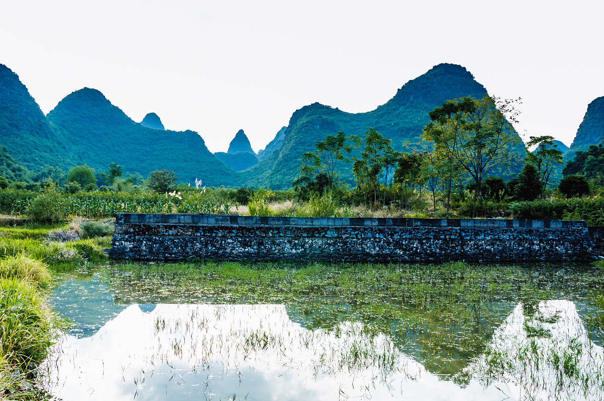 投资市场上的稀有物种：坚守期货24年的欣叔