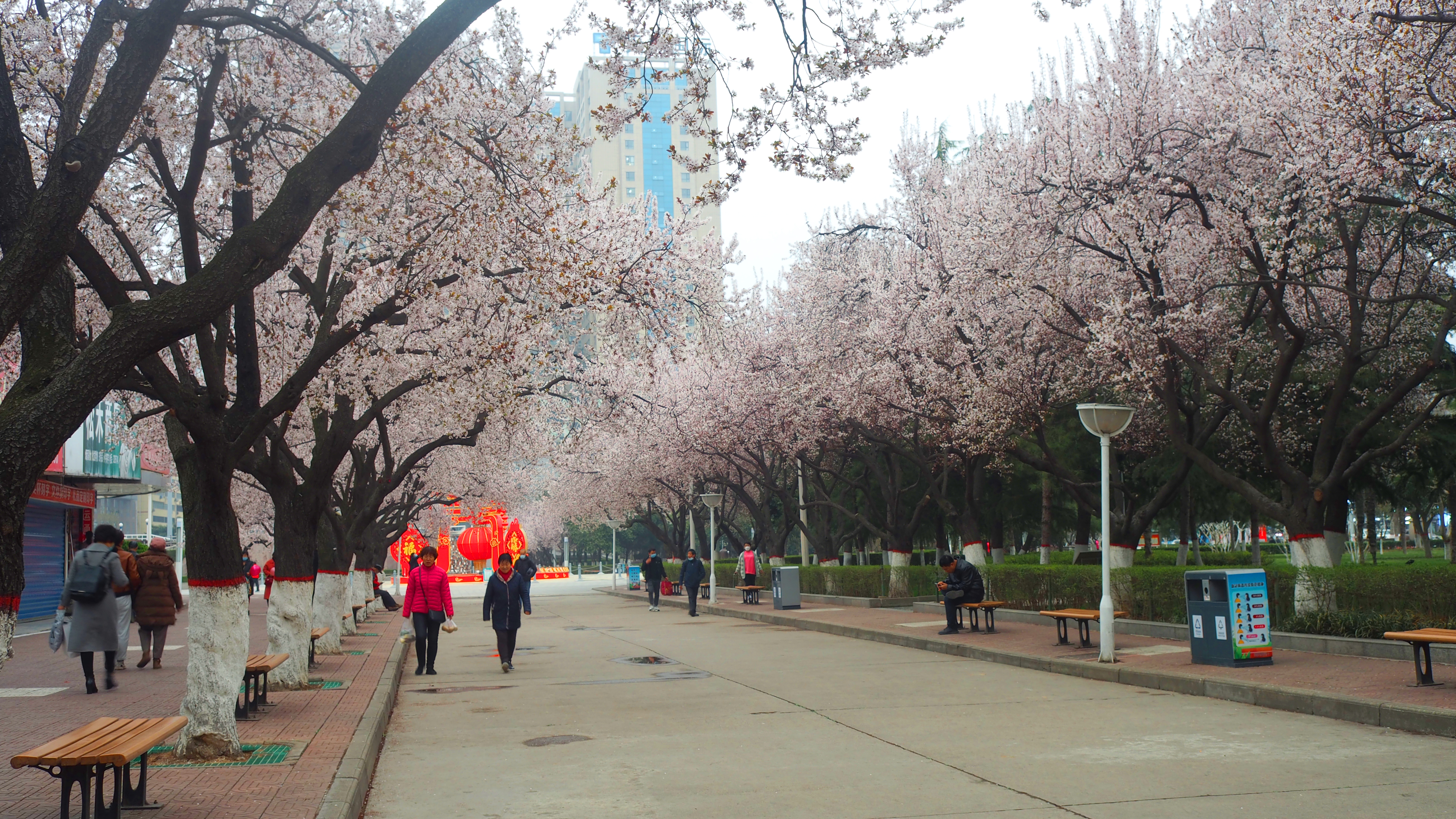 一个人从南到北跨越了整个中国,一个人从南到北的旅行